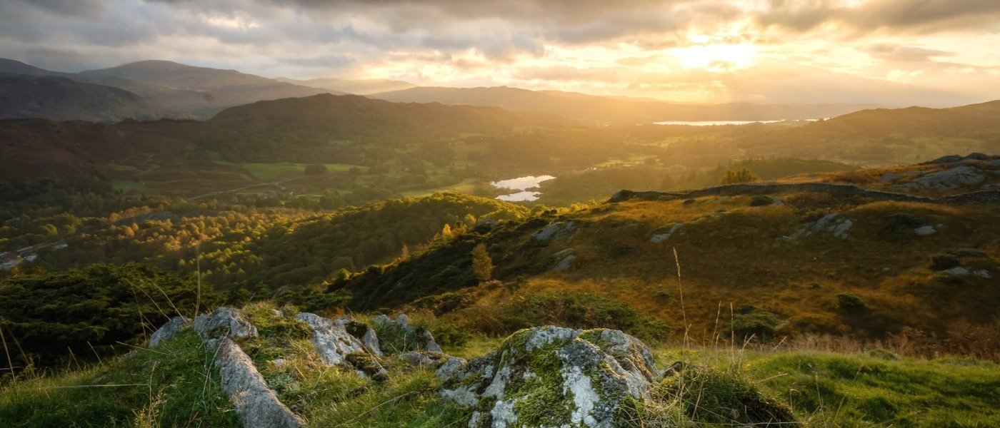 best spirits tours in ireland - Wine Paths